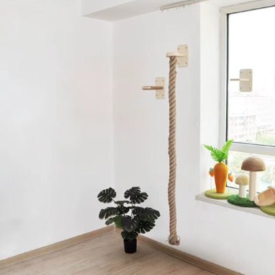 Griffoir pour chat présenté avec d’autres jouets