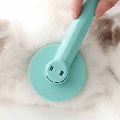 Massage de la ventre du chat avec une Brosse à chat