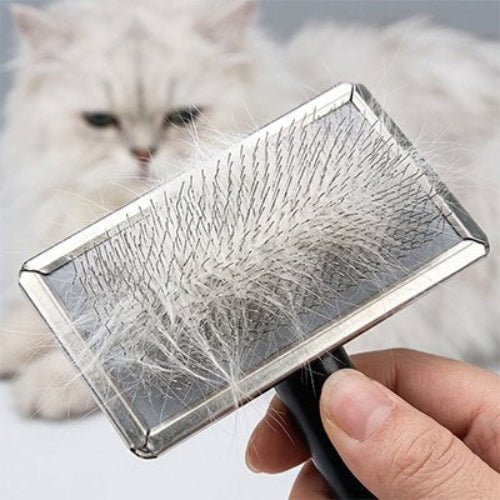 Brosse chat poils longs facile a nettoyer