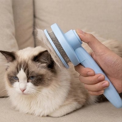brosse pour chat à poil long bleu