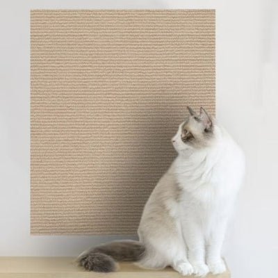 chat à côté du griffoir à chat mural fixé au mur