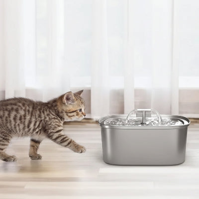 chat s'approche de la fontaine pour chat