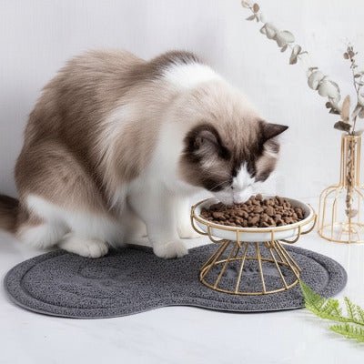 chat beige mangeant des croquettes dans une gamelle chat surélevée