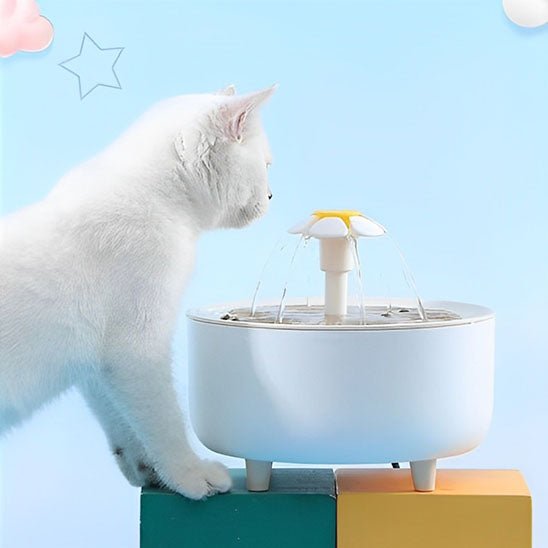 chat blanc curieuse fontaine a eau chat