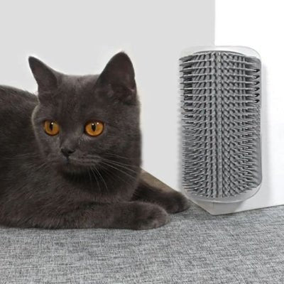 Chat brun assis à côté d’une brosse chat