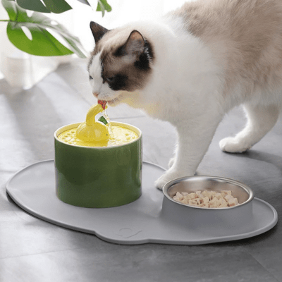 chat buvant l'eau de la fontaine a eau pour chat ceramique verte
