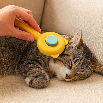 Chat détendu lors du brossage avec une brosse pour chat
