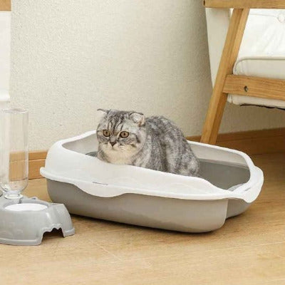 Le chat fait ses besoins dans le bac à litière pour chat