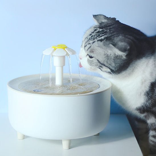 chat gris bois fontaine a eau chat