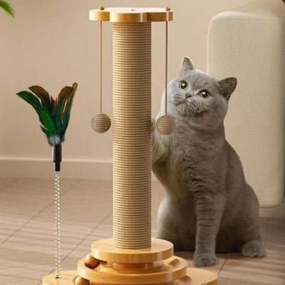 chat jouant avec la balle du griffoir à chat