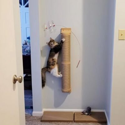 Chat joueur grimpant sur le griffoir à chat