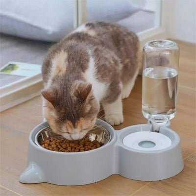 Chat mangeant croquettes gamelle automatique chat