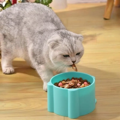 chat mangeant pùté dans la gamelle anti glouton chat