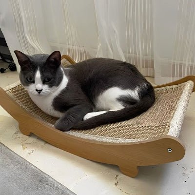 chat noir et blanc installé confortablement sur le Griffoir à chat