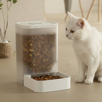 un chat regardant le distributeur de croquettes