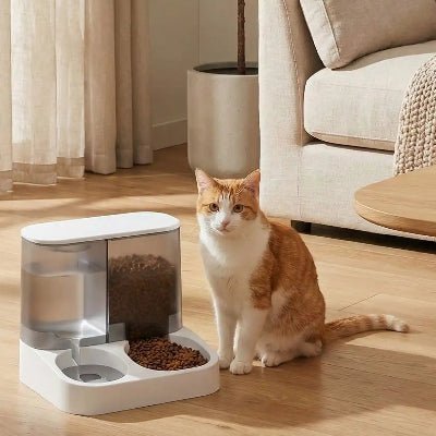 chat roux assoie a cote de distributeur croquettes chat