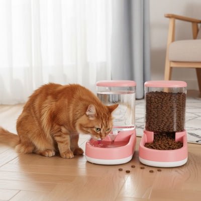 chat roux buvant à côté de distributeur croquette chat rose
