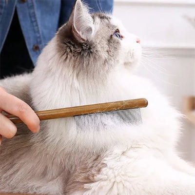 Chat se tournant pendant le brossage avec une brosse chat