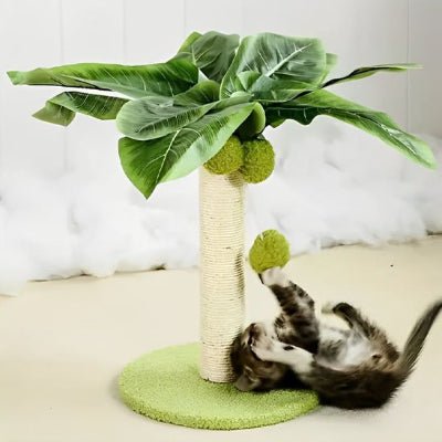 chaton jouant avec la balle dans le Griffoir chat