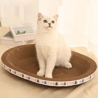 chats debout sur le griffoir chat carton