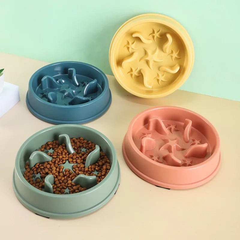 coloris de la gamelle pour chat anti glouton