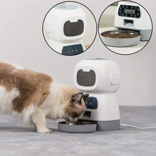 chat beige brun mange croquette dans bol inox distributeur de croquettes pour chat