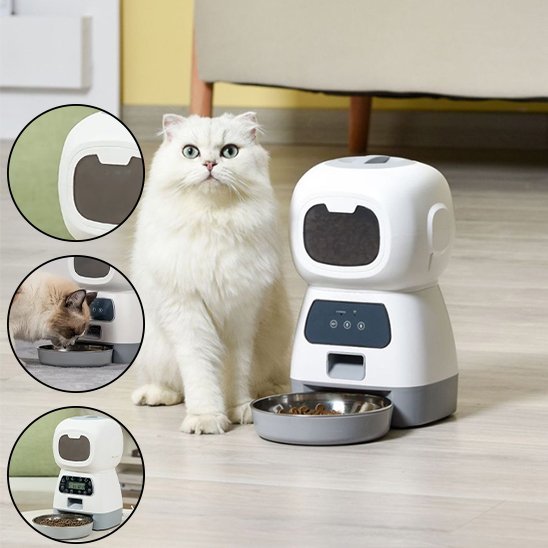 chat blanc assis a cote distributeur de croquettes pour chat