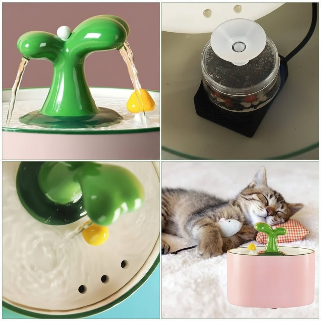 fontaine a eau pour chat ceramique