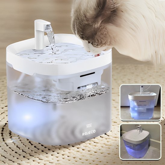 FONTAINE A EAU POUR CHAT | PetHydrateâą - L'Univers Du Chat