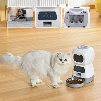 jolie chat blanc fier distributeur de croquettes pour chat