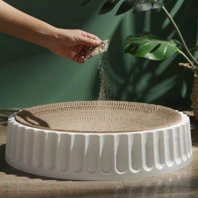 propriétaire met de l'herbe à chat dans un griffoir pour chat