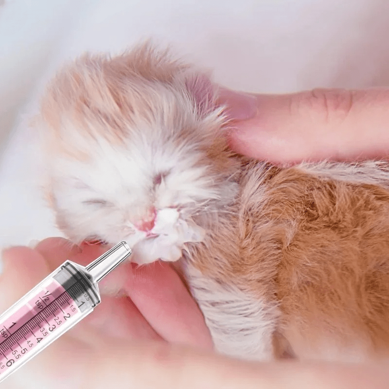 Seringue Alimentation - CatFeedingSyringe™ - Rose - L'Univers Du Chat