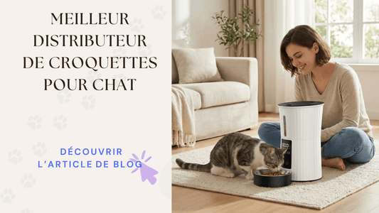 Meilleur distributeur de croquettes pour chat – guide complet L'Univers Du Chat
