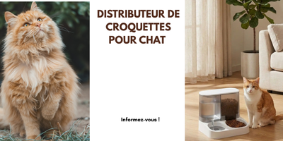MEILLEURE DISTRIBUTEUR DE CROQUETTES POUR CHAT