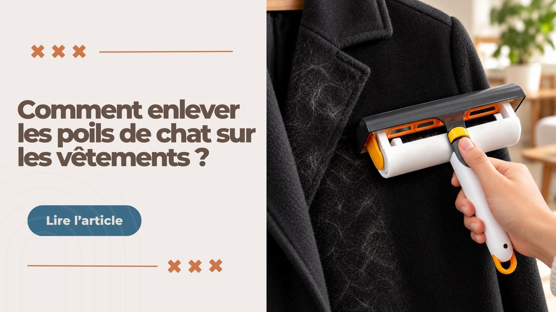 Comment enlever les poils de chat sur les vêtements ? - L'Univers Du Chat