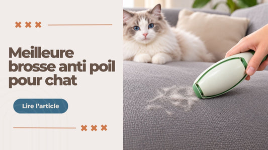 MEILLEURE BROSSE ANTI POIL POUR CHAT - L'Univers Du Chat