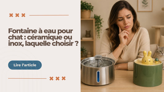 Fontaine à eau pour chat : céramique ou inox, laquelle choisir ?