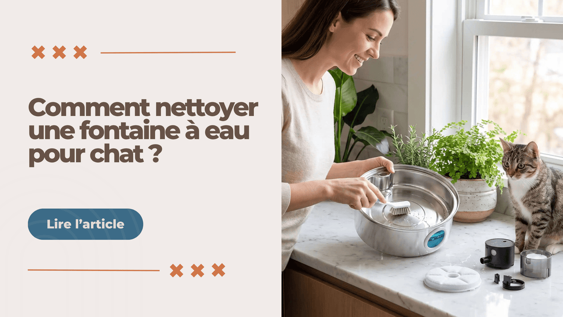 Comment nettoyer une fontaine à eau pour chat ? - L'Univers Du Chat