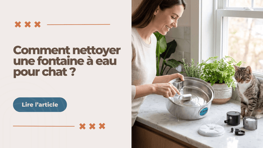 Comment nettoyer une fontaine à eau pour chat ? - L'Univers Du Chat