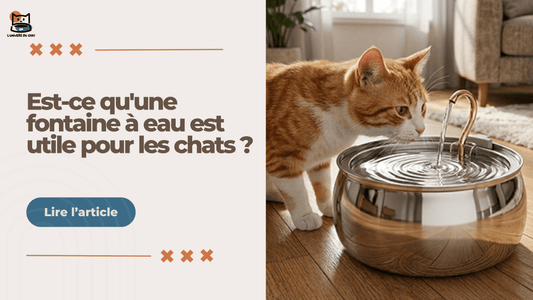 Est-ce qu'une fontaine à eau est utile pour les chats ? - L'Univers Du Chat