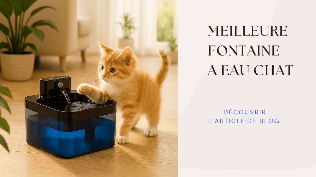 MEILLEURE FONTAINE A EAU CHAT
