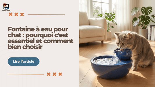 Fontaine à eau pour chat - guide complet hydratation féline
