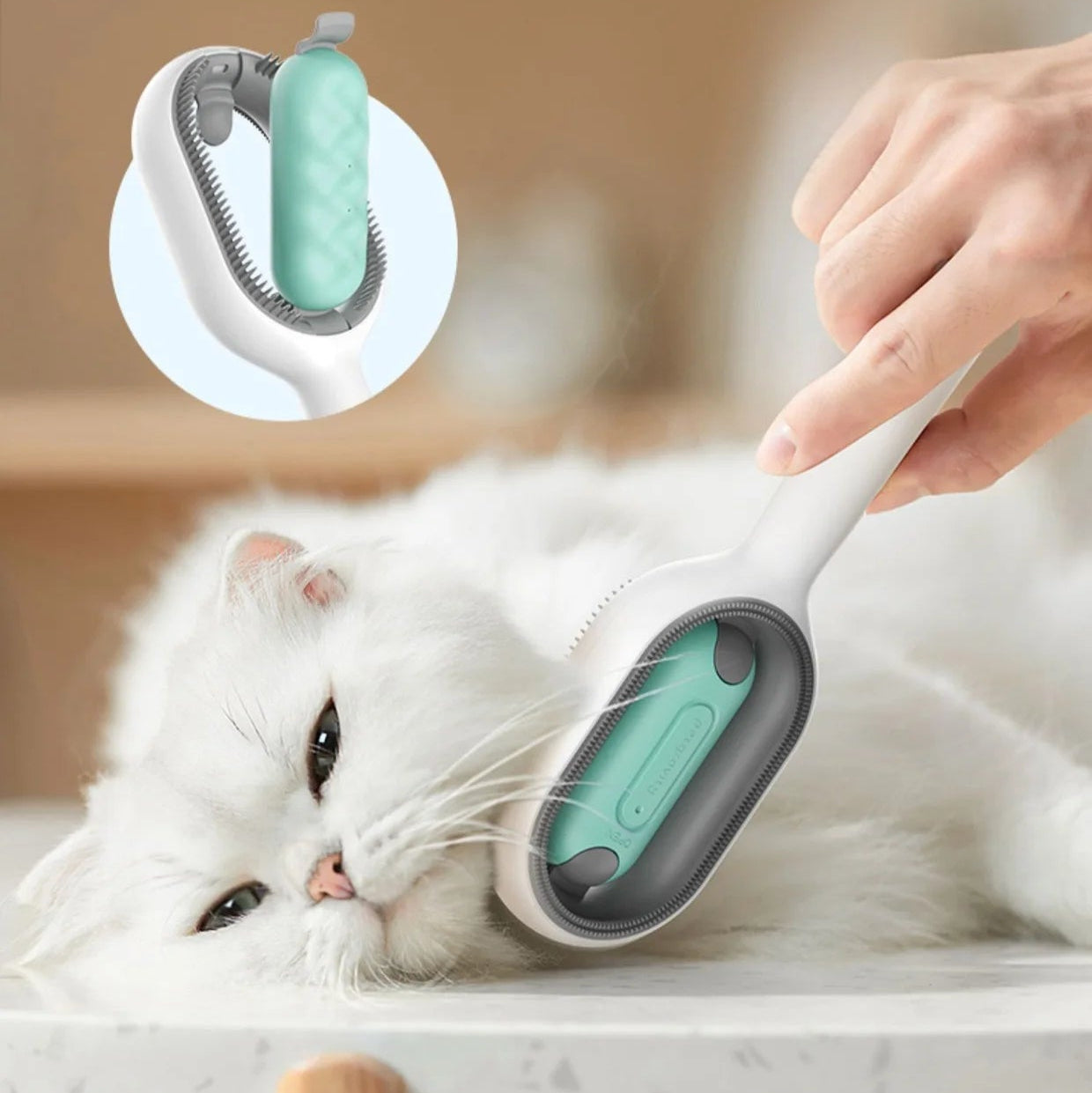 brosse chat poil long professionnel appliquer sur un chat blanc