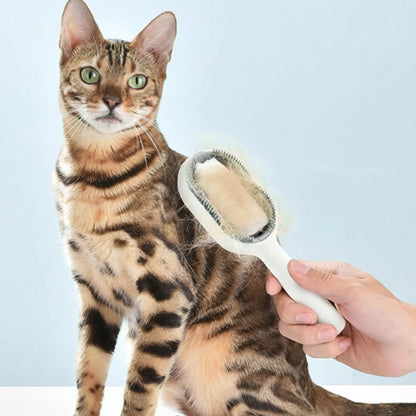 brosse chat poil long professionnel  avec des polis