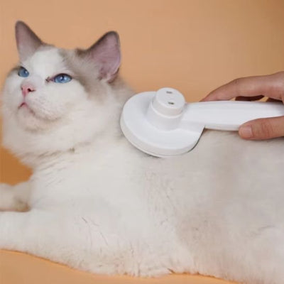 Chat appréciant le brossage de la tête avec Brosse à chat 