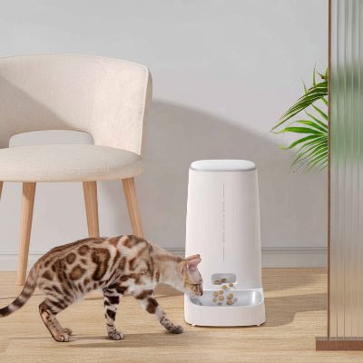 Chat s’apprêtant à manger dans une gamelle intelligente chat
