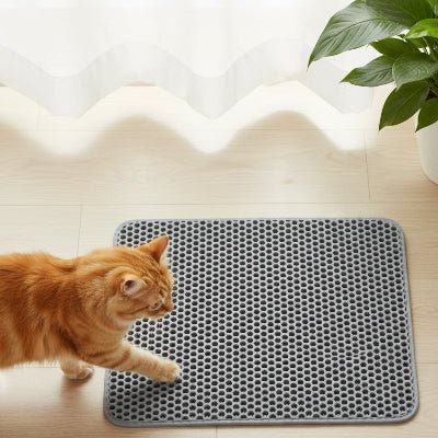 Chat s’approchant du bac sur un tapis chat litière gris