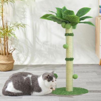 Chat assis à côté du griffoir chat