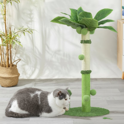 chat assis à côté du poteau griffoir pour chat changé