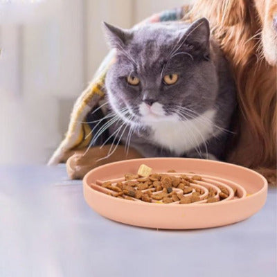 Chat assis à côté d’une gamelle anti glouton orange avec une couverture.